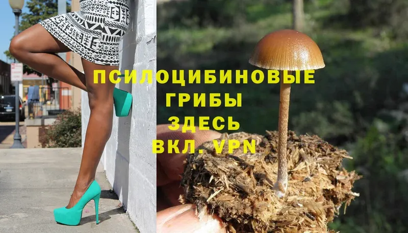 hydra ССЫЛКА  Николаевск-на-Амуре  Галлюциногенные грибы Psilocybine cubensis 